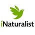 iNaturalist